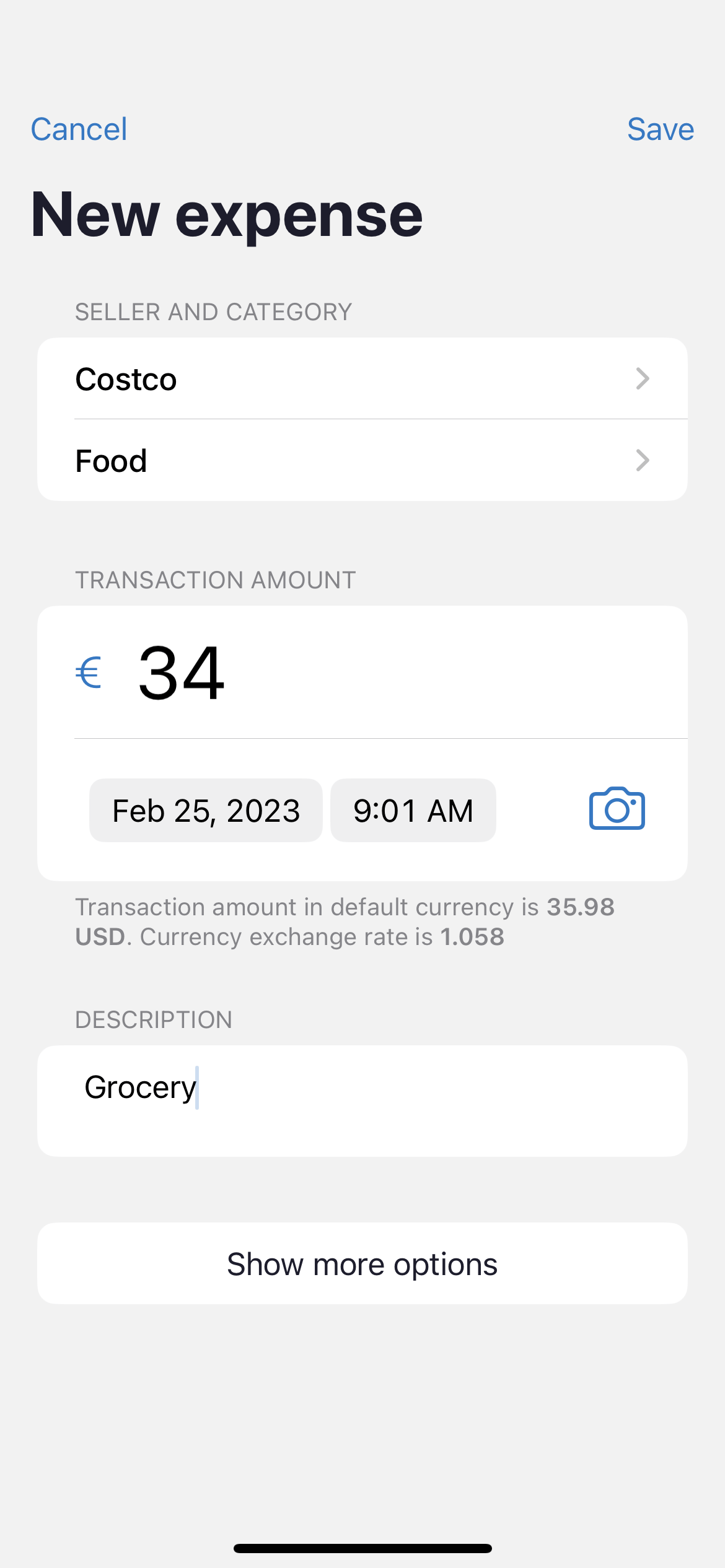 budget app multi-currency support